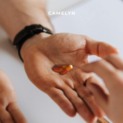 Camelyn – M2