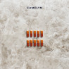 Camelyn – M2