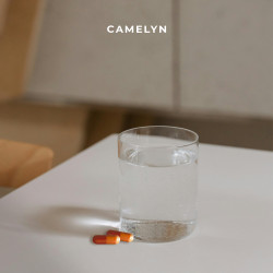 Camelyn – M2