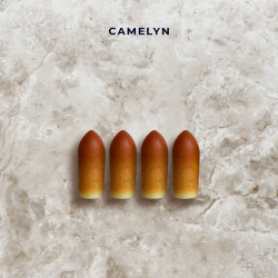 Camelyn – M4